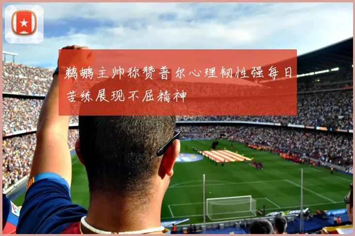 鹈鹕主帅称赞普尔心理韧性强每日苦练展现不屈精神