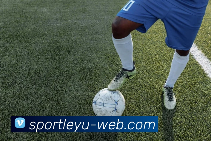 乐鱼体育平台生态图